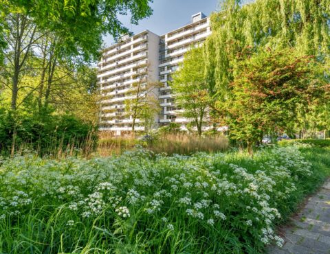 Thumbnail van de woning
